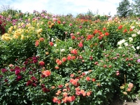 S様　/　エリザベート皇妃の足跡を訪ねる旅　８日間